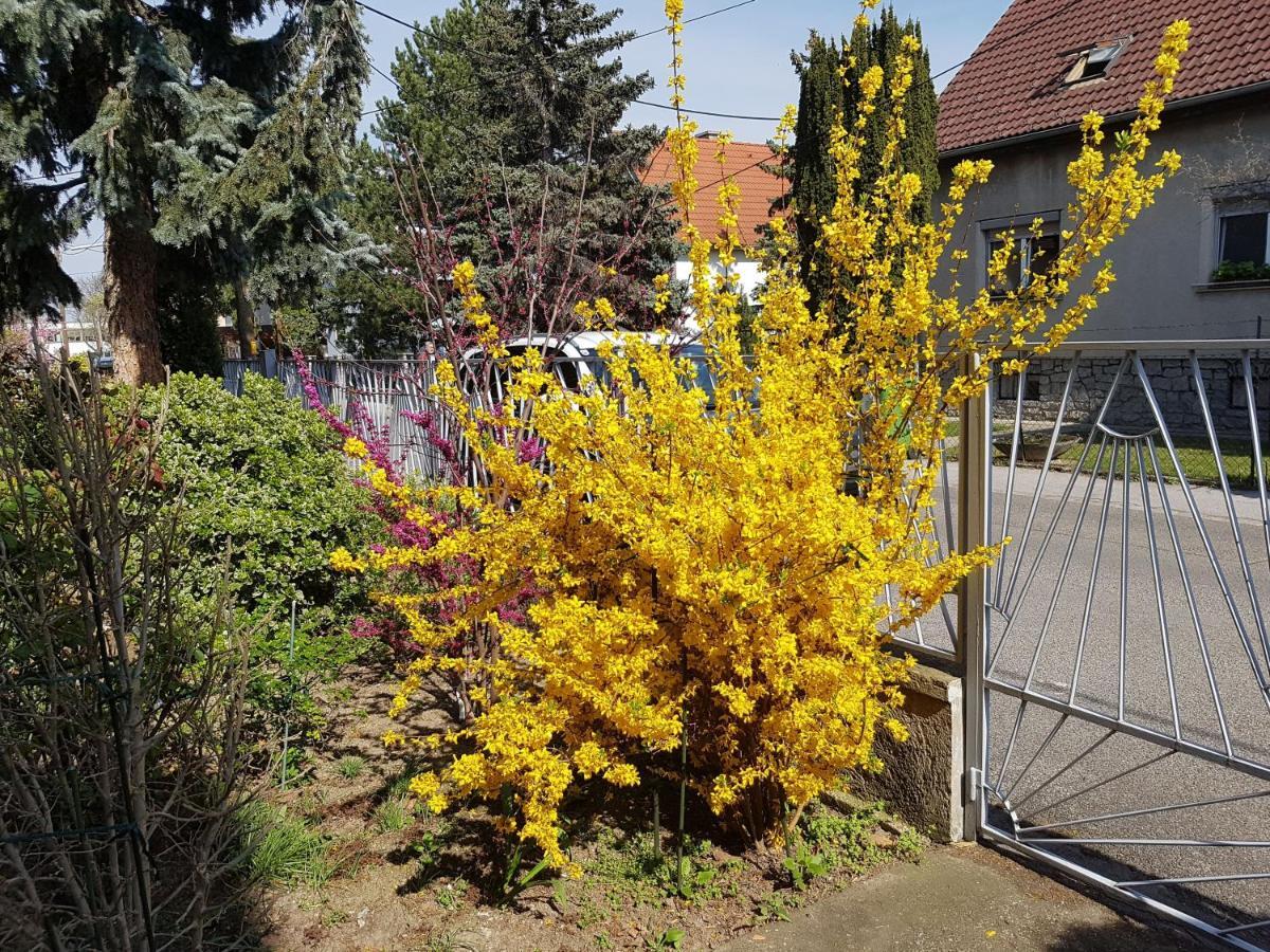 Garden Donau-city Apartament Wiedeń
